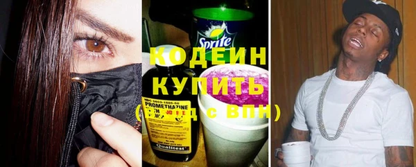 ГАЛЛЮЦИНОГЕННЫЕ ГРИБЫ Сясьстрой