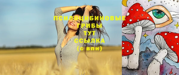 мдпв Беломорск