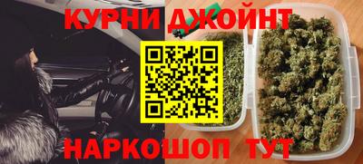 шишки Ставрополь