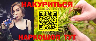 шишки Ставрополь