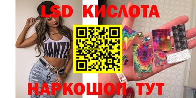 шишки Ставрополь