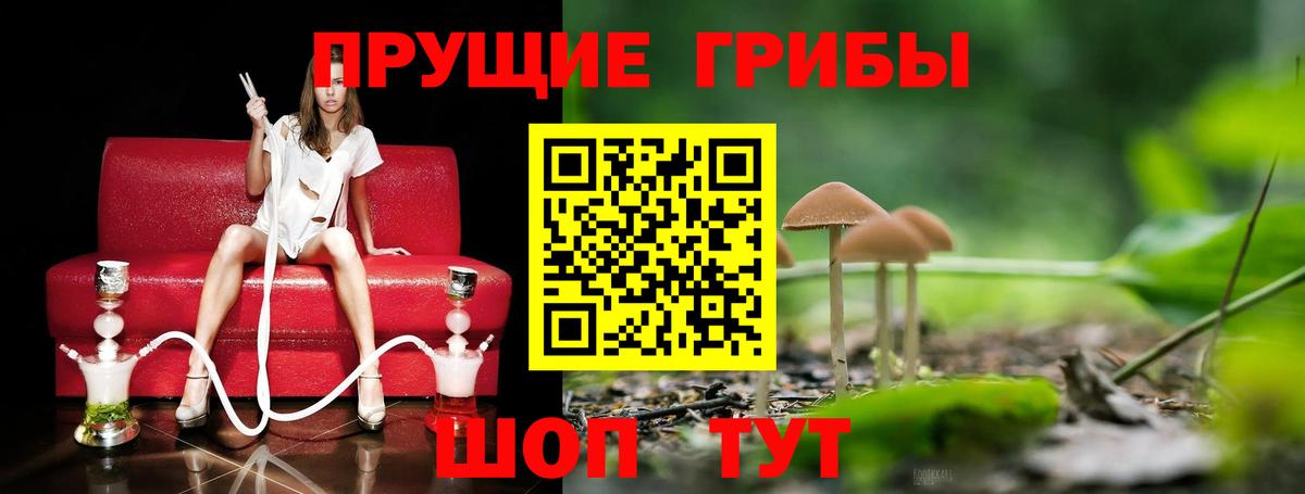 Верхний Уфалей  Псилоцибиновые грибы Cubensis  Вход с VPN 