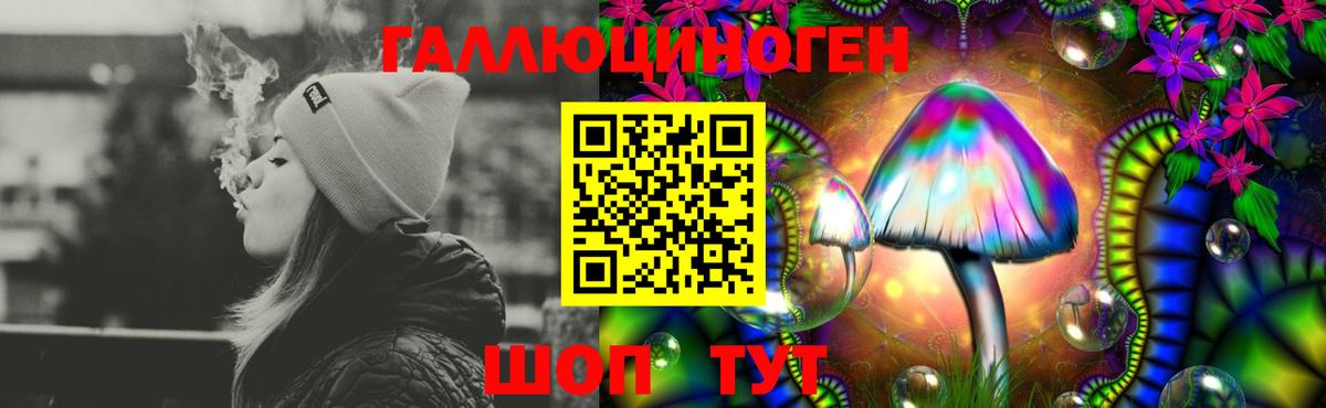 Галлюциногенные грибы Psilocybe  Вход с VPN  Верхний Уфалей 
